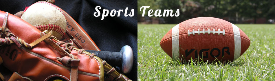 Sports teams, football, baseball, hockey, minor league teams in the Abington, Montgomery County PA area